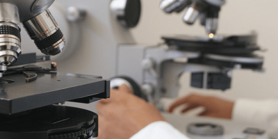 Microscop&iacute;a